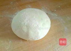 鲜肉烧卖的做法图解1