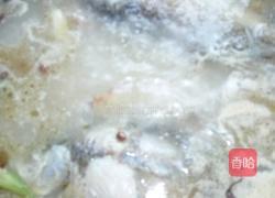 鲫鱼豆腐汤的做法图解10