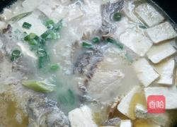 鲫鱼豆腐汤的做法图解11