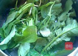 凉拌萝卜樱子的做法图解2