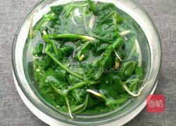 凉拌萝卜樱子的做法图解4