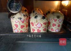 蓝莓酸奶马芬的做法图解16