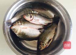 麻辣鲫鱼的做法图解1