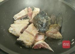 垮炖鲜鱼豆腐的做法图解4