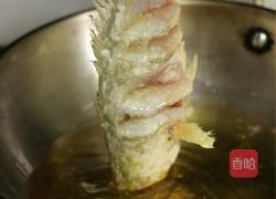 茄汁大黄花鱼的做法图解4