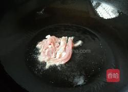 苤蓝炒肉丝的做法图解6