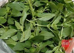 荆芥炒豆皮的做法图解1