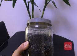 蜂蜜醋泡黑豆的做法图解4