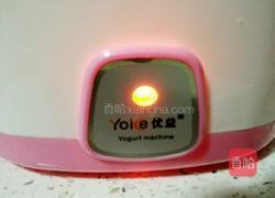 自制酸奶的做法图解10