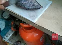 蒸罗非鱼的做法图解2