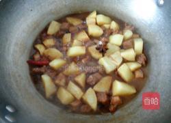 小土豆红烧肉的做法图解12