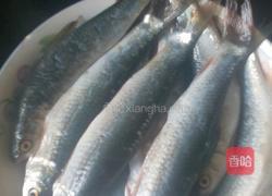 红烧棒子鱼的做法图解1