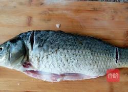 酸菜鲤鱼的做法图解1