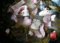 酸菜鲤鱼的做法图解8