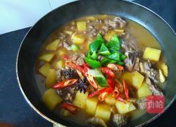 土豆炖鹅肉的做法图解8