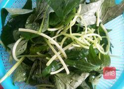 炒红薯苗的做法图解3