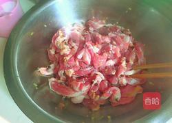 香香酥肉的做法图解5