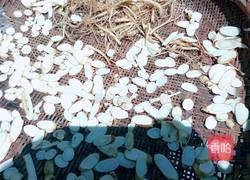 人参茶的做法图解1