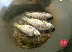 鲫鱼白萝卜汤的做法图解4