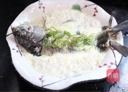 鲫鱼肉末炖蛋的做法图解6