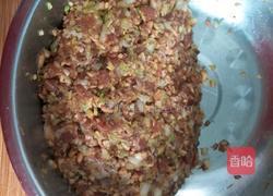 香菇白菜猪肉饺子的做法图解6
