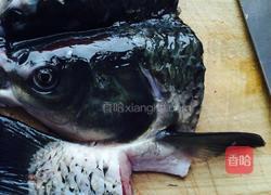 煲鱼头汤的做法图解1