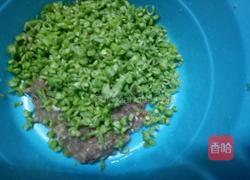 猪肉豇豆饺子的做法图解3