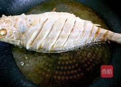 焖黄花鱼的做法图解6