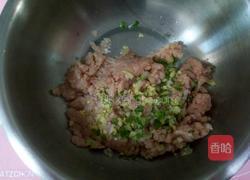 胡萝卜玉米肉饺子的做法图解7