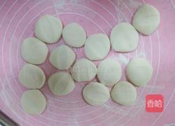 胡萝卜玉米肉饺子的做法图解18