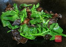 木耳菜炒木耳的做法图解6