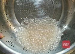 木瓜西米露的做法图解4