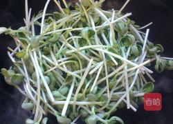 豆苗炒肉的做法图解5