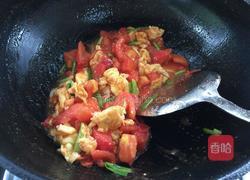 番茄炒蛋盖浇饭的做法图解8