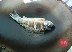 奶白鱼汤的做法图解3