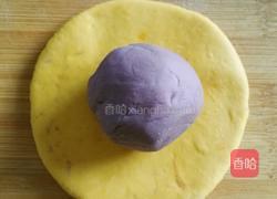 紫薯南瓜开花馒头的做法图解9