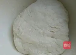 Sesame Roll Recipe Illustration 2