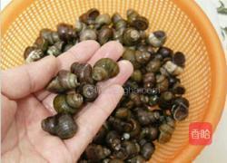 爆炒香辣田螺的做法图解2