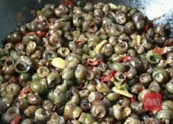 爆炒香辣田螺的做法图解7