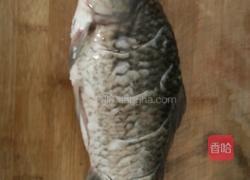 清炖鲫鱼的做法图解1