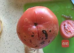 西红柿鸡蛋蒸饺的做法图解4