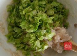 生菜鲜虾丸的做法图解5