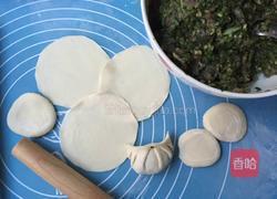 韭菜鸡蛋虾仁饺子馅的做法图解8