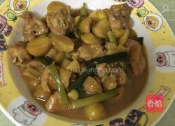 粟子炆鸡的做法图解4