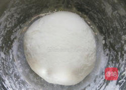 韭菜鸡蛋虾仁饺子馅的做法图解6