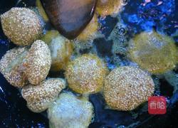 油炸糍粑的做法图解9