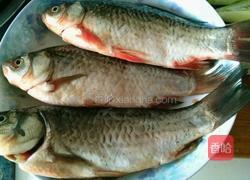 鲫鱼豆腐汤的做法图解1