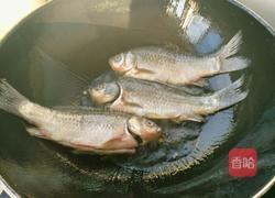 鲫鱼豆腐汤的做法图解3