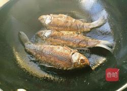 鲫鱼豆腐汤的做法图解4