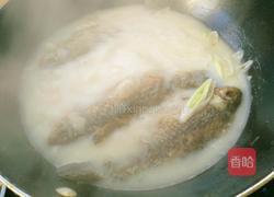 鲫鱼豆腐汤的做法图解7